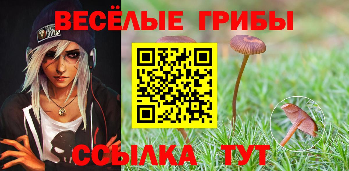 Изобильный  Галлюциногенные грибы GOLDEN TEACHER  Вход с VPN 