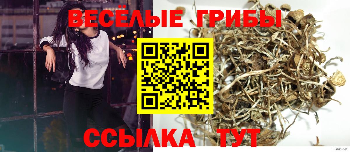 Галлюциногенные грибы прущие грибы Изобильный
